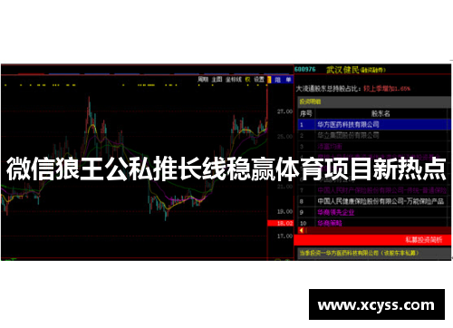 微信狼王公私推长线稳赢体育项目新热点